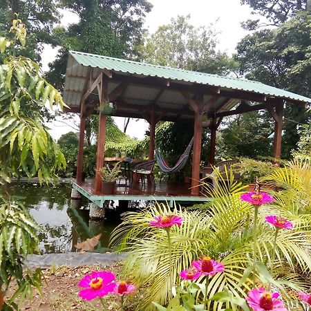 Greenhouse Loft Miravalles Aguas Claras  Kültér fotó