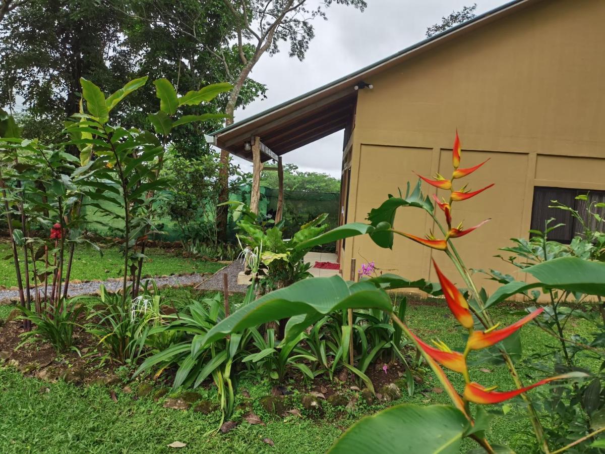 Greenhouse Loft Miravalles Aguas Claras  Kültér fotó