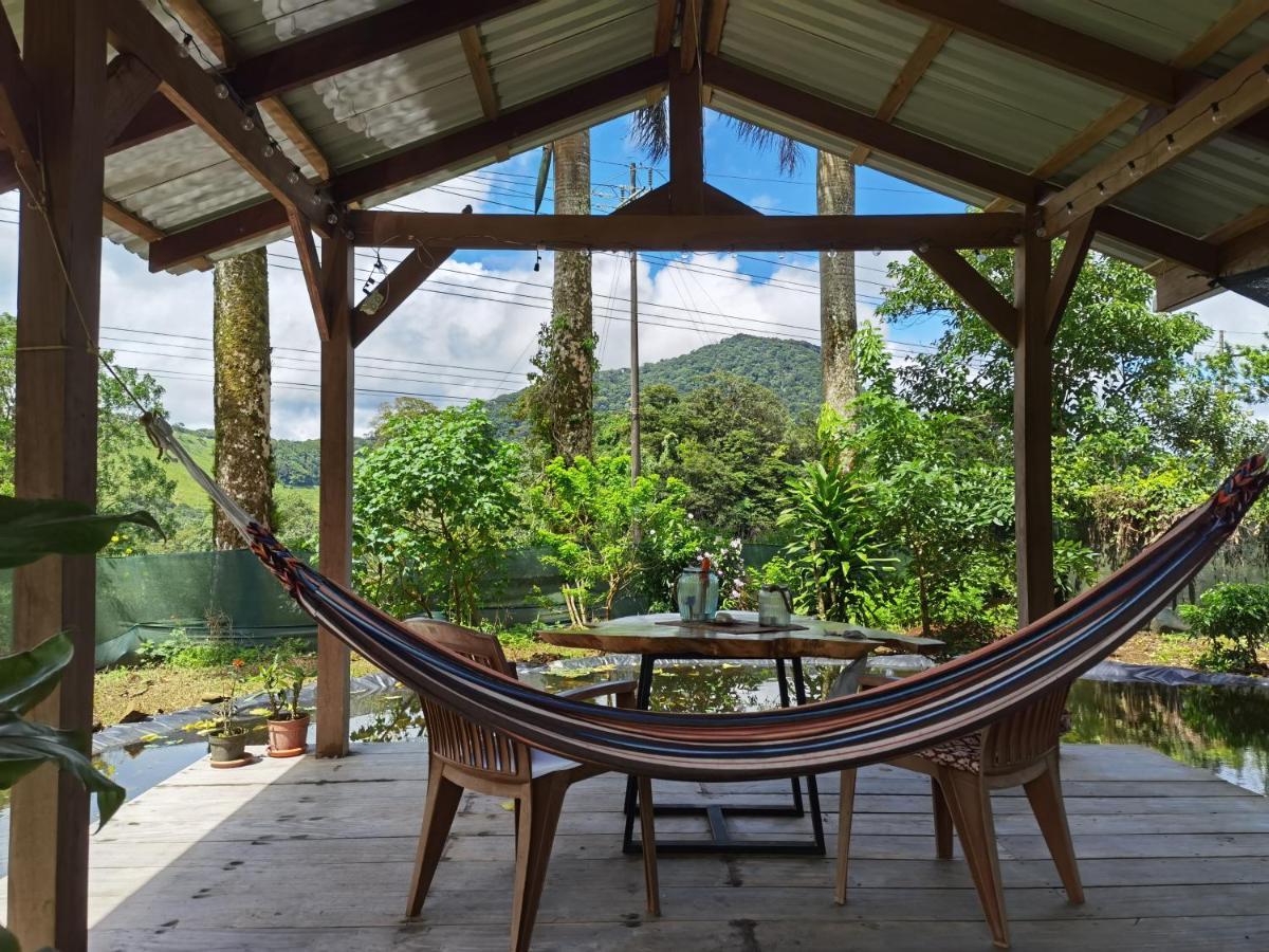 Greenhouse Loft Miravalles Aguas Claras  Kültér fotó