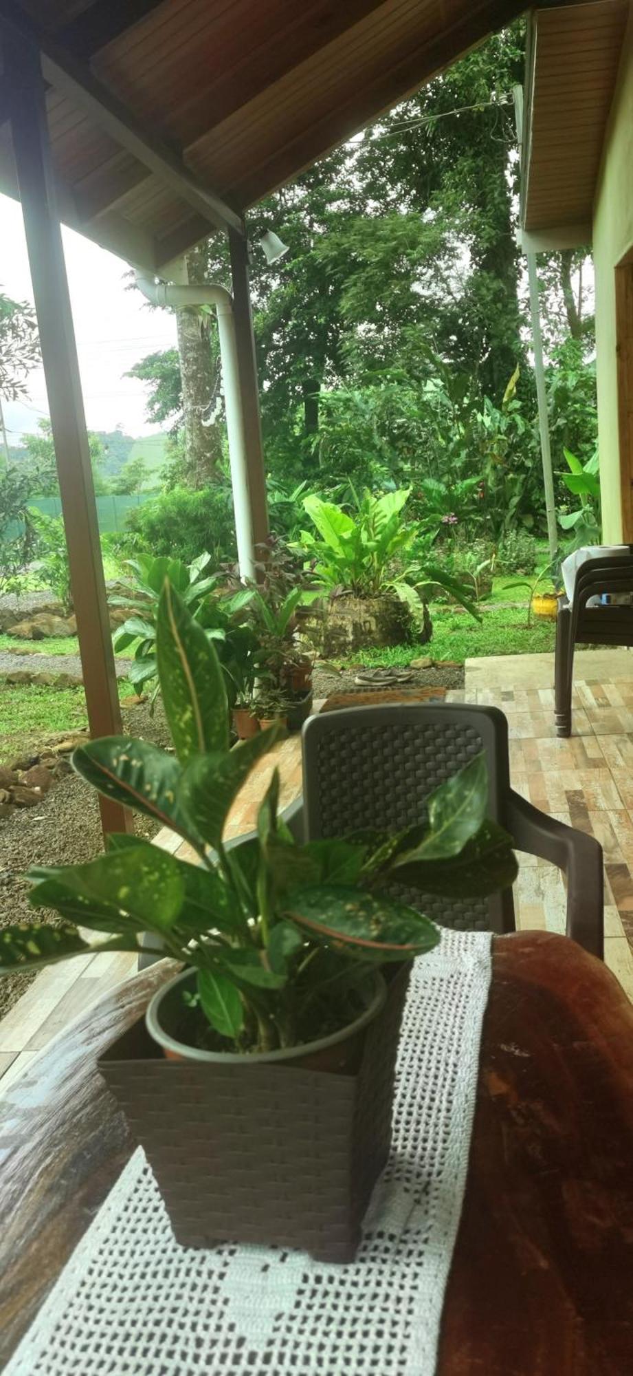 Greenhouse Loft Miravalles Aguas Claras  Kültér fotó